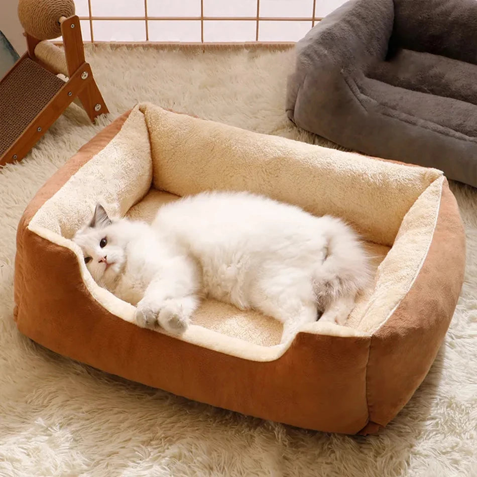 PetDreams: Cama Com Almofada para Cães e Gatos