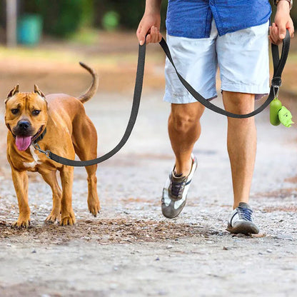 Safewalk: Coleira e Guia com Reflexão Noturna para Cães e Gatos 